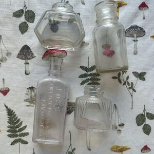 Vintage Clear Glass Bottles Set/Propagation Vases